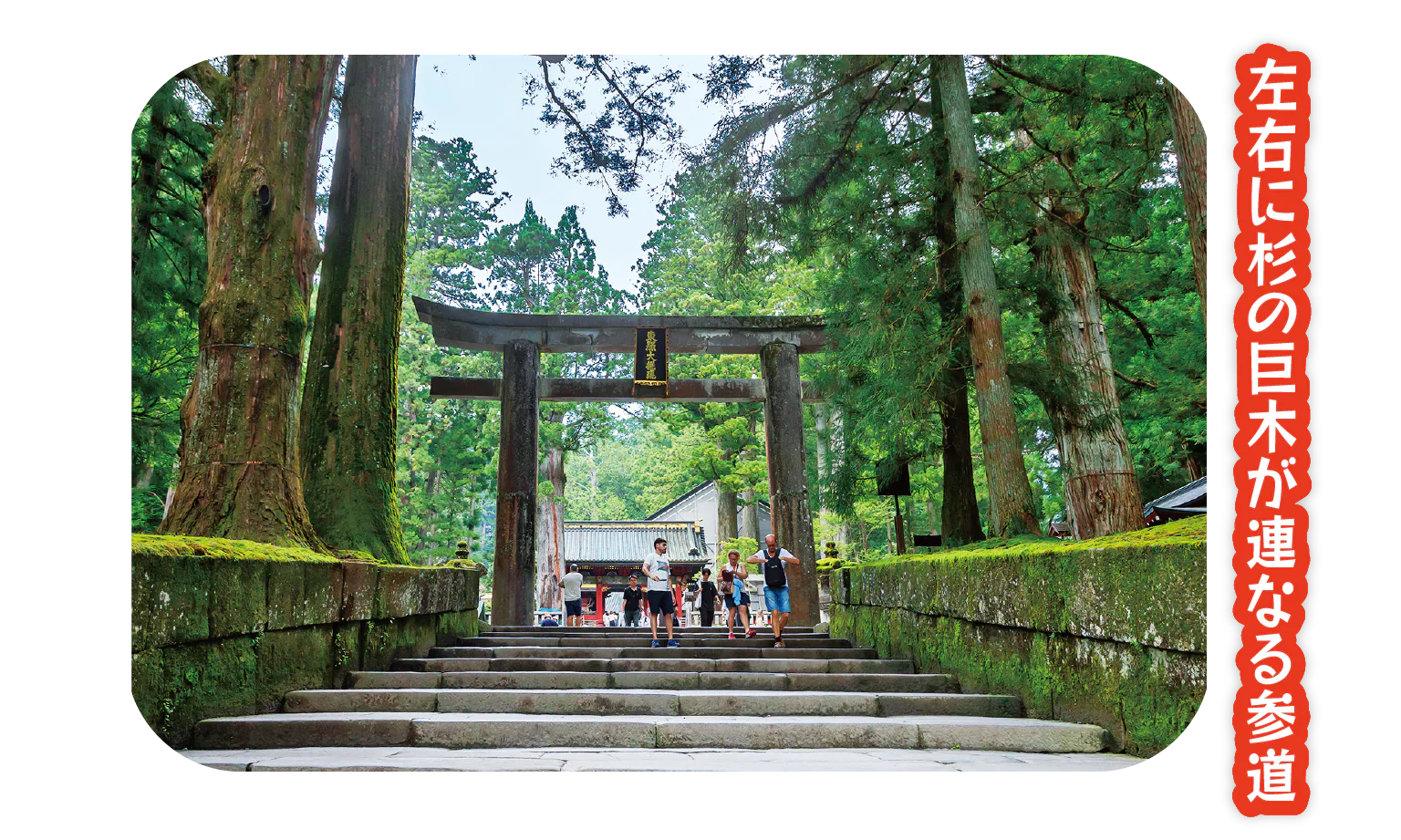 東照宮までゆるやかな上り坂になっているここも世界遺産に認定されているエリア