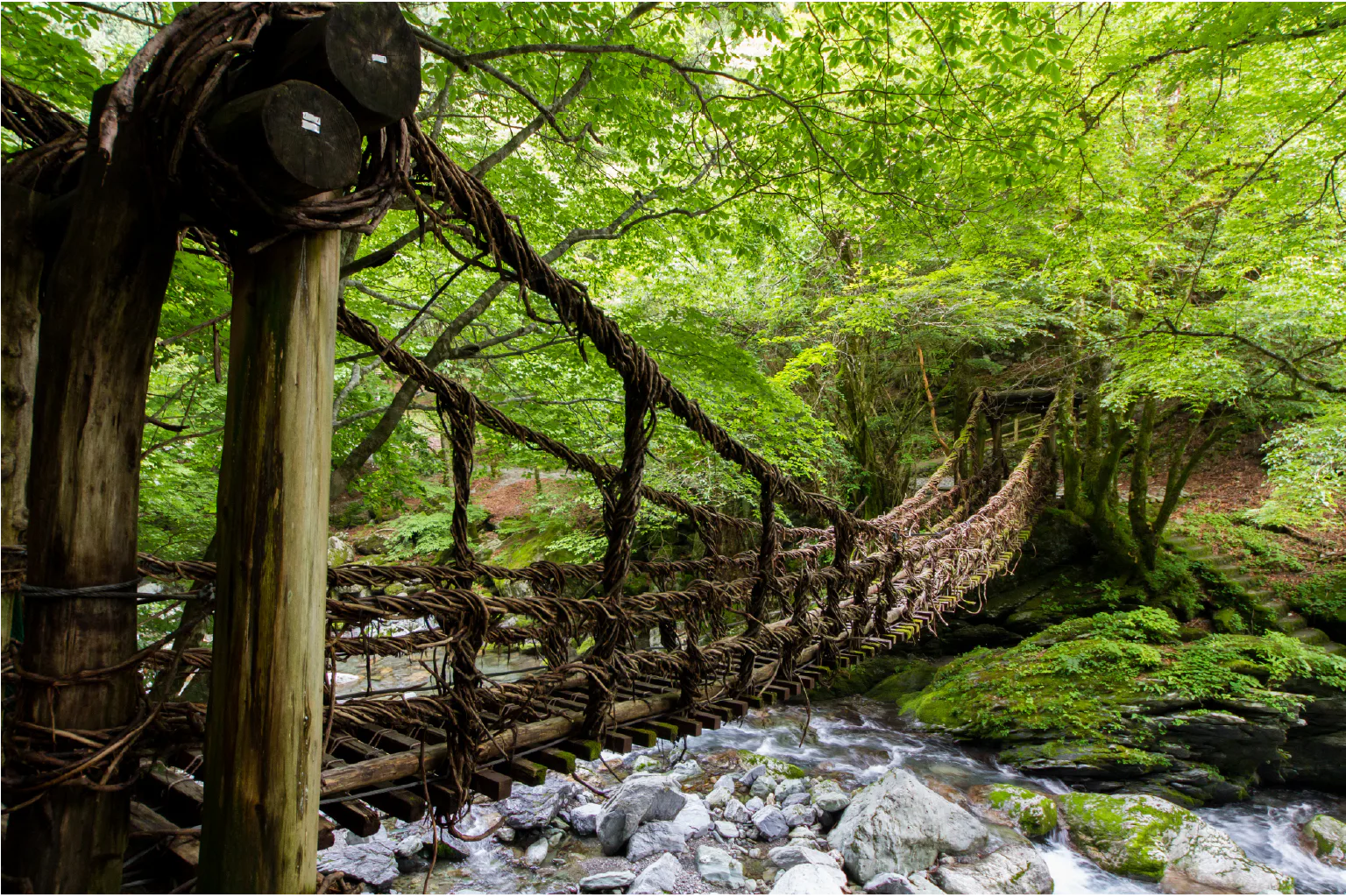 奥祖谷二重かずら橋の画像
