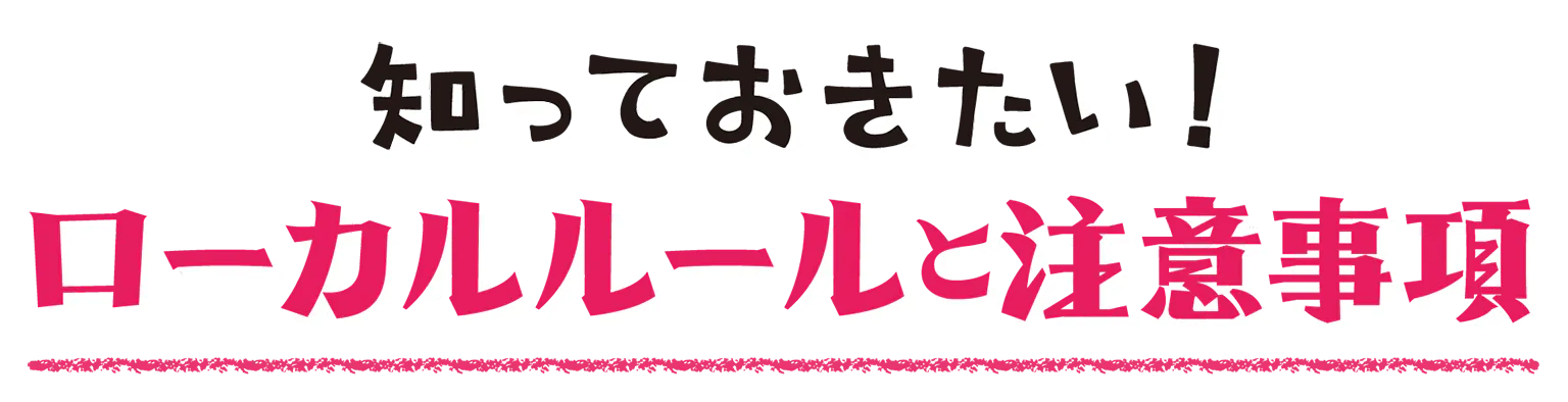 ローカルルールと注意事項の見出し