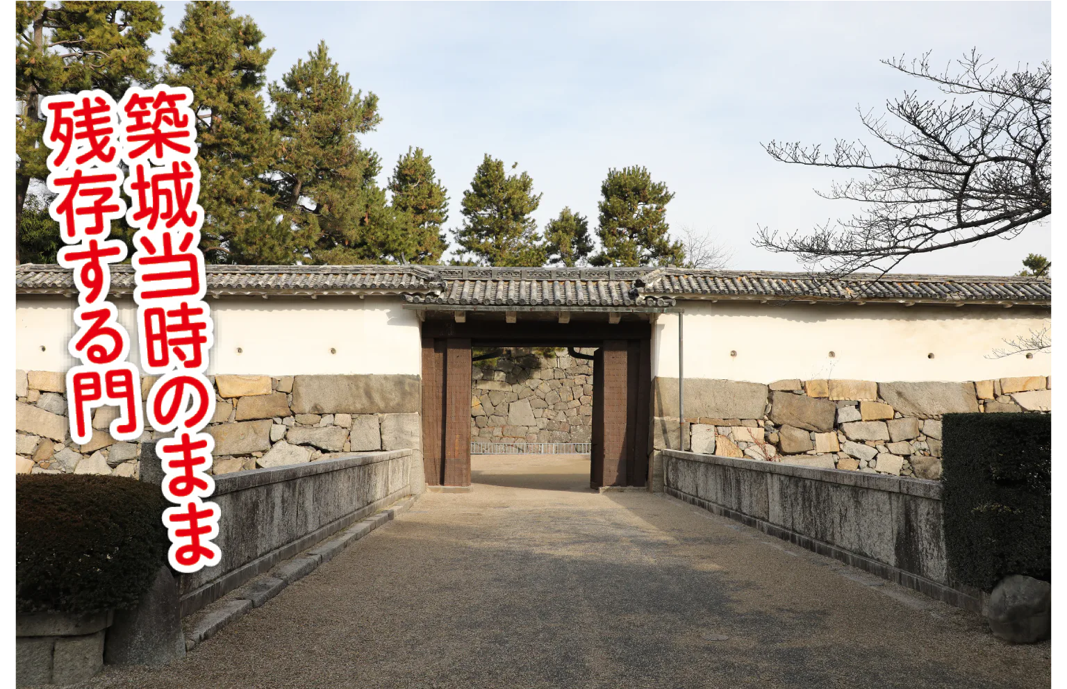 表二之門
