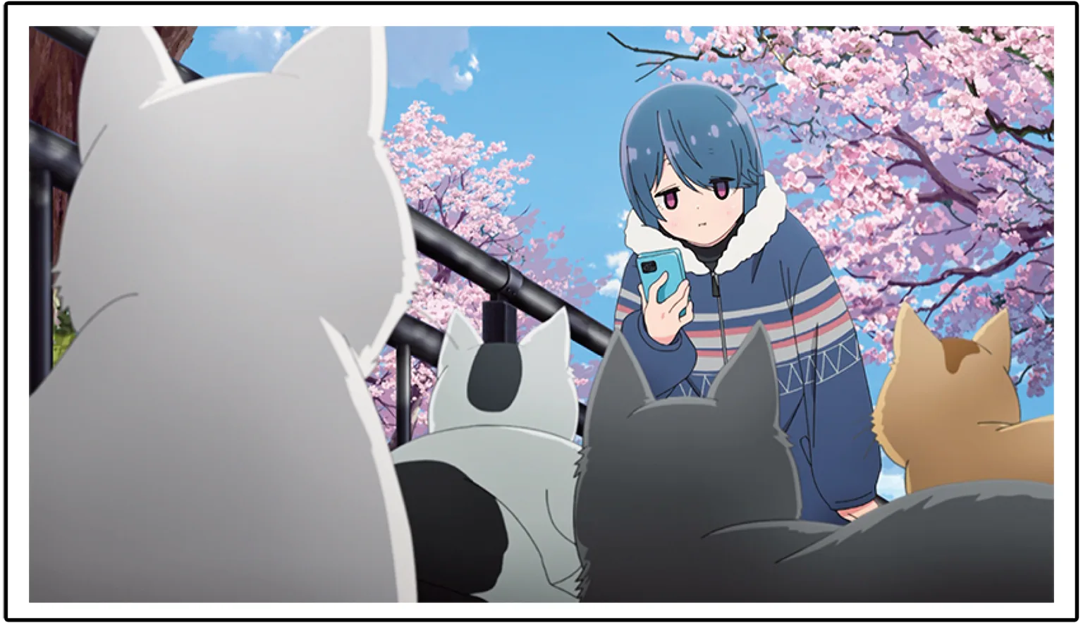 ネコがたくさん!?の画像