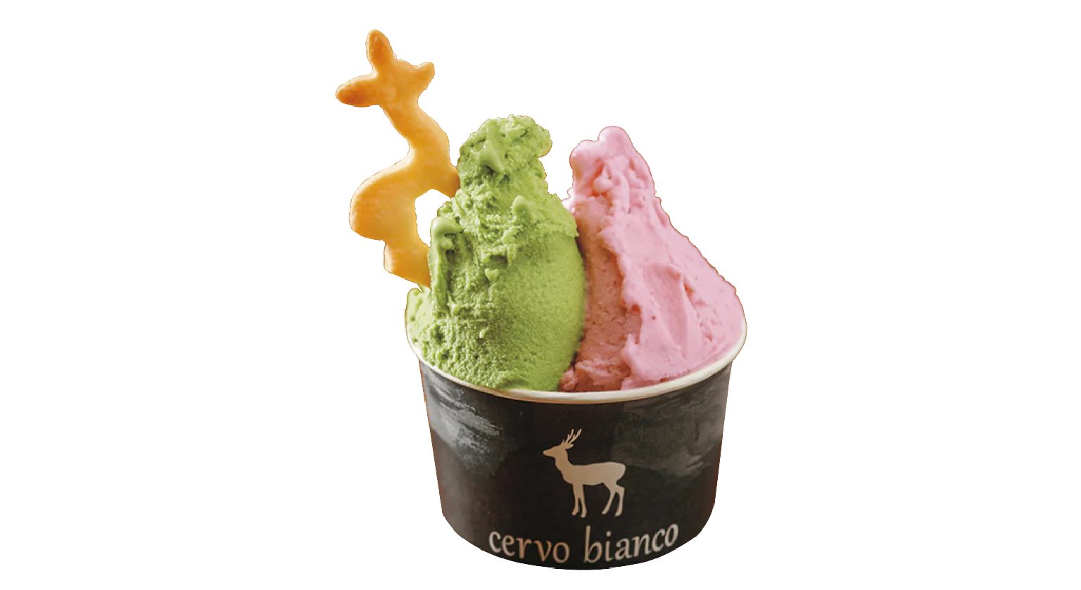 cervo biancoのジェラートの画像