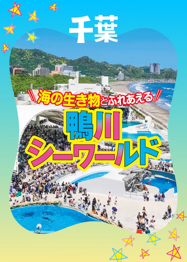 海の生き物とふれあえるテーマパーク　鴨川シーワールド