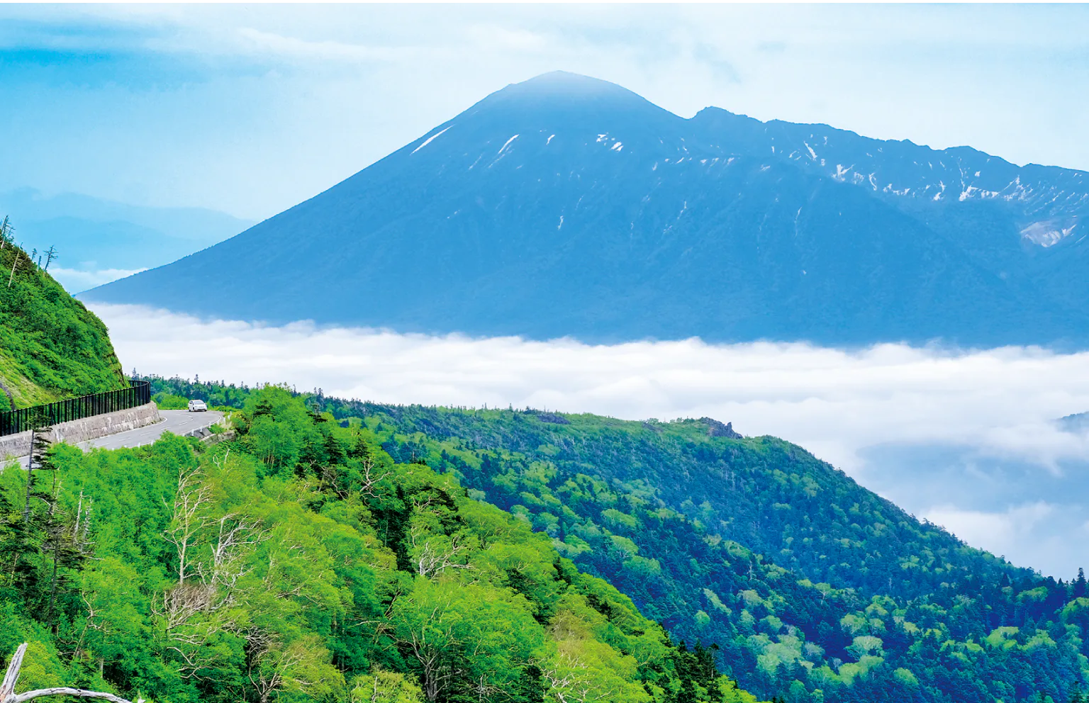 山頂からの景色