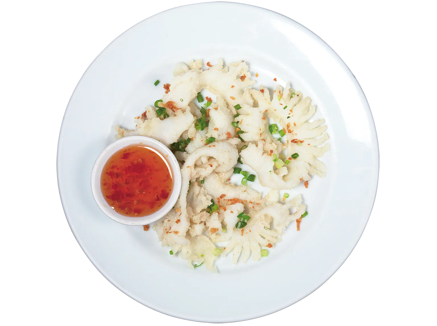 スクイッド・タクティクスの画像