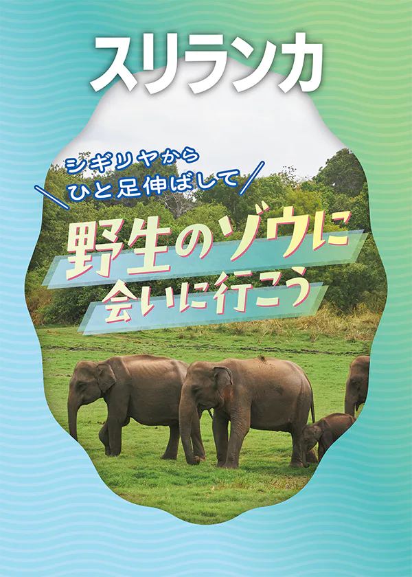 【スリランカ】野生のゾウ｜シギリヤ周辺でゾウに会えるおすすめツアーを紹介