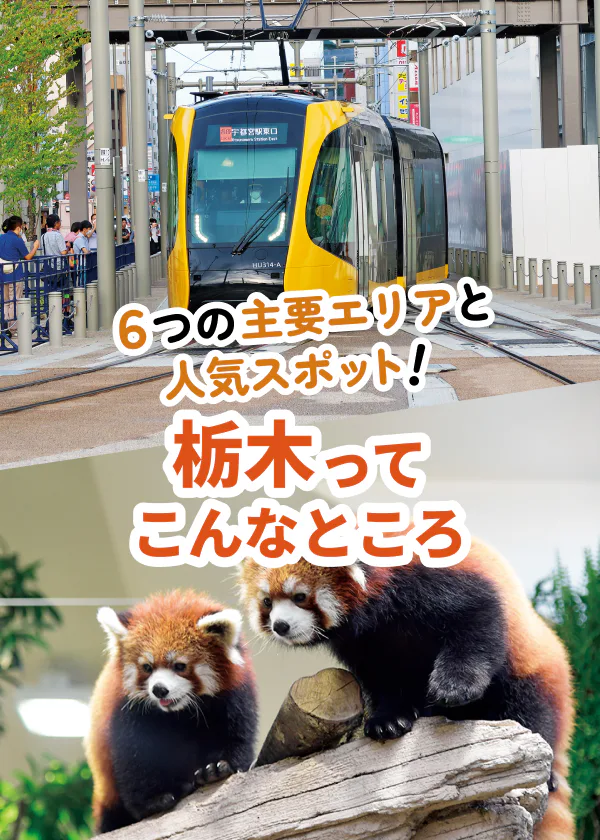 栃木観光はドライブで｜グルメから子供に人気の動物園まで6大スポットをチェック