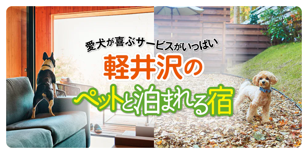 【長野・群馬】軽井沢でペットと泊まれる宿│愛犬が喜ぶサービスもいっぱい！