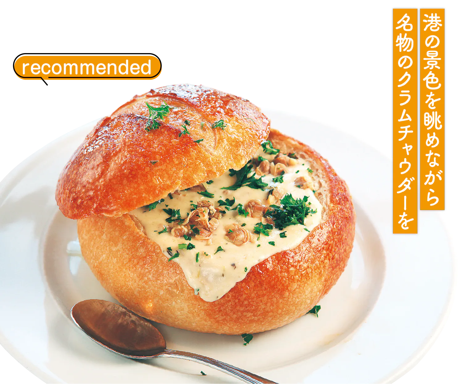 クラムチャウダーの画像