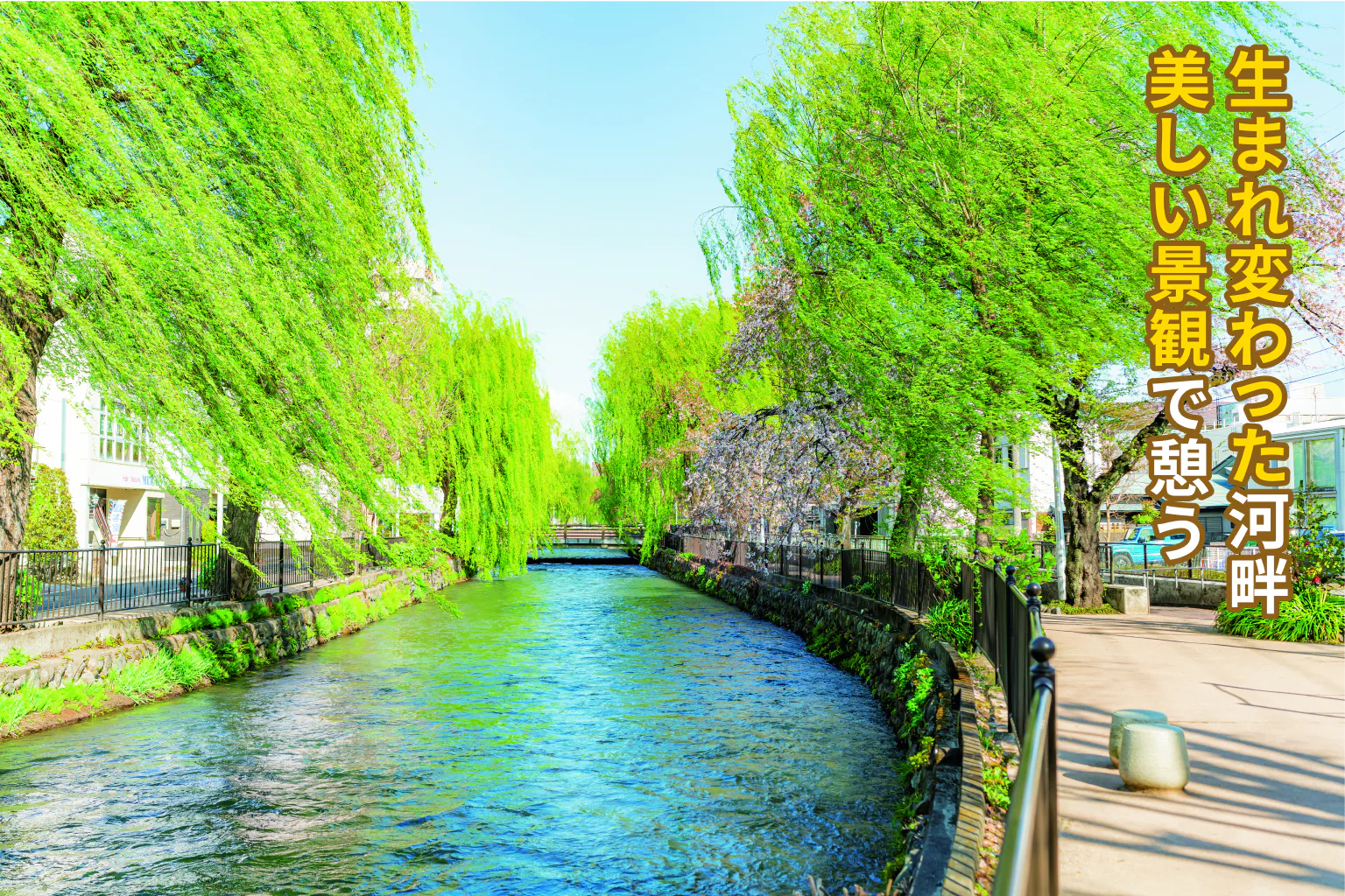 生まれ変わった河畔　美しい景観で憩う