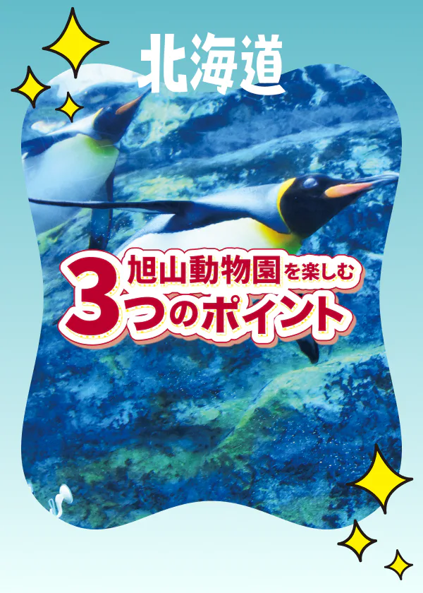 【北海道】旭山動物園を楽しむ3つのポイント│展示の工夫や北国ならではの光景をチェック！主なイベント情報も