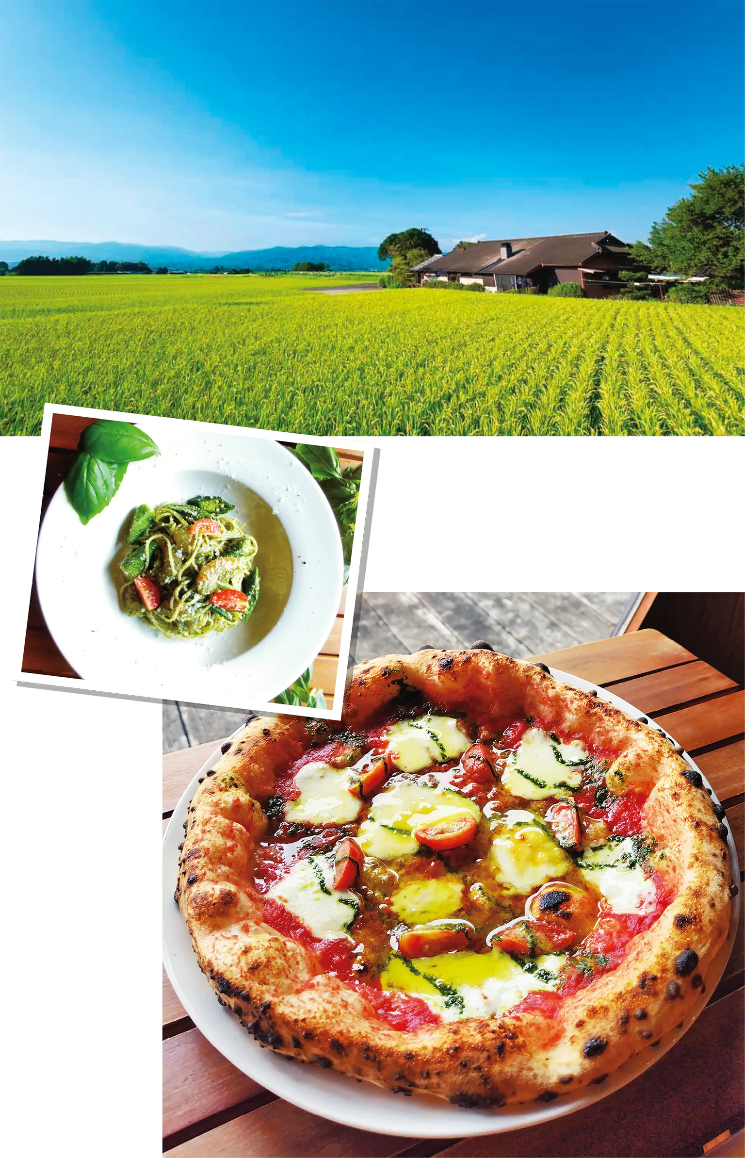 Farmer’s Cafe SAKURIの外観画像（上）とパスタとピザの画像（中、下）