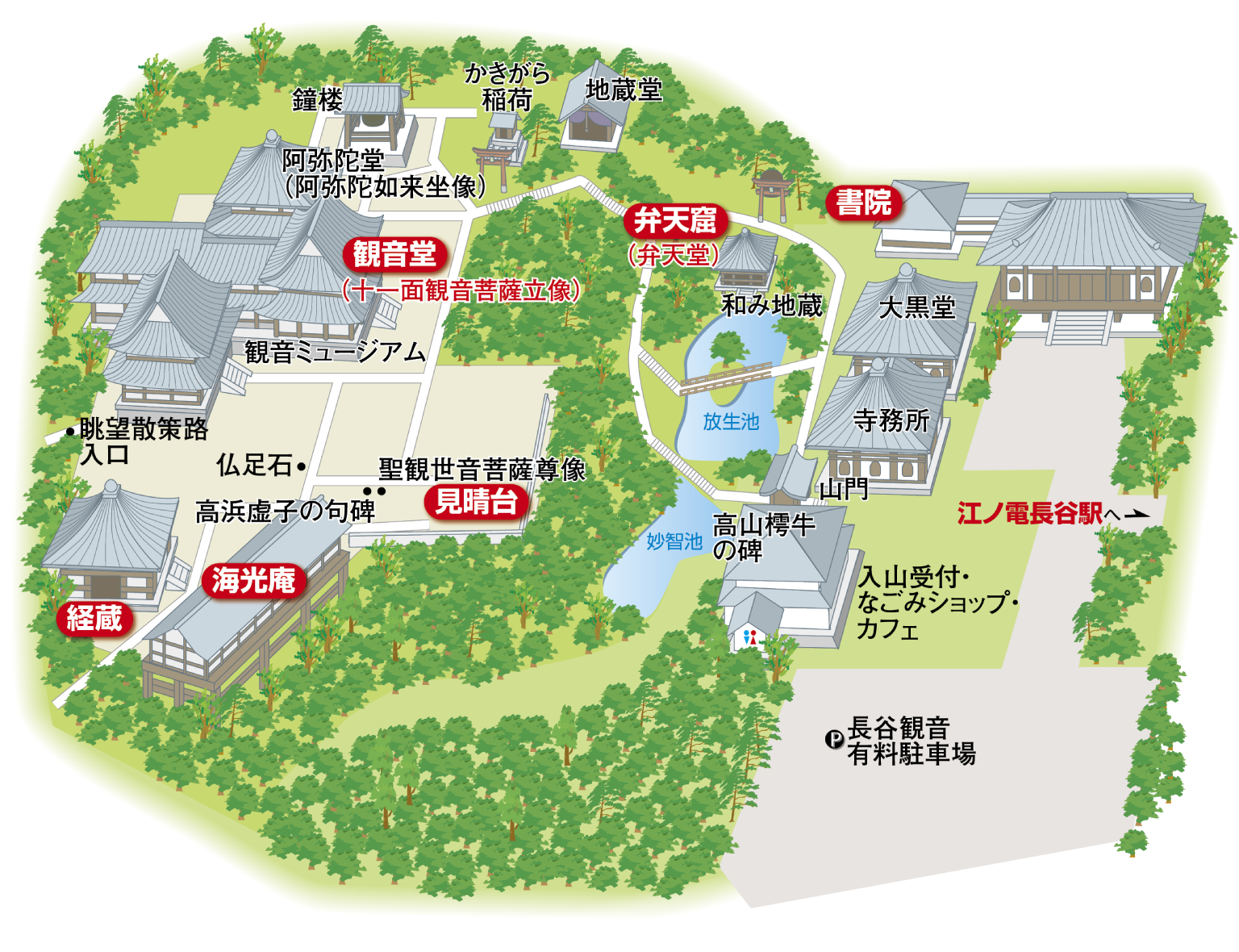 鎌倉 長谷寺 見どころ
