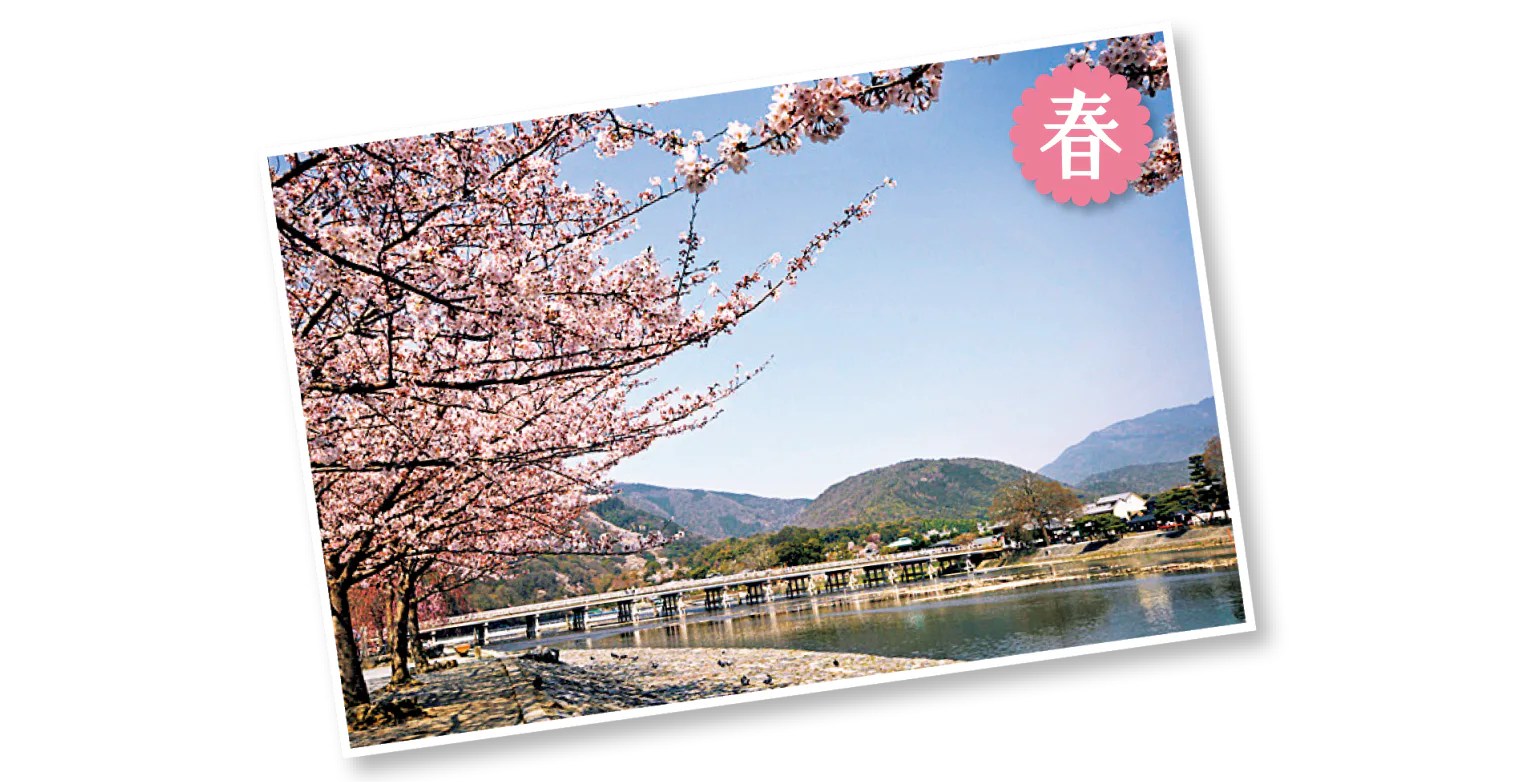 渡月橋の春の画像