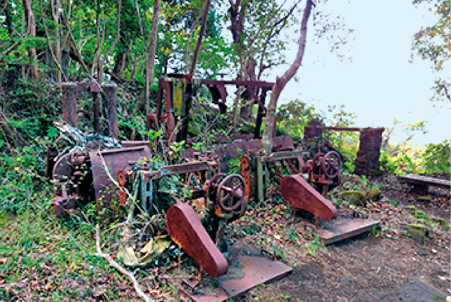 岩舞台とよばれる石切場跡にはかつて使っていた機械がまだ残っている