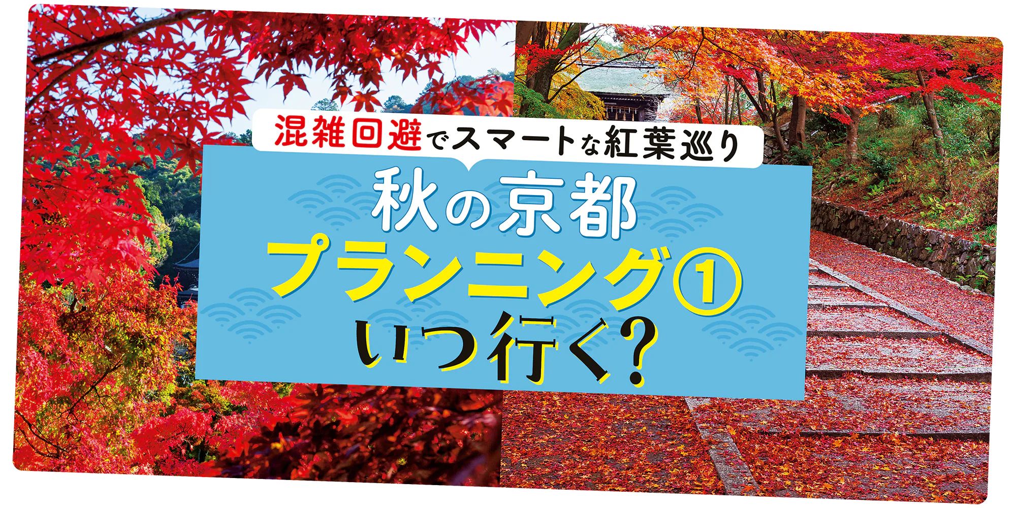 秋の京都はプランニングが重要！ベストな紅葉を狙うなら、いつ行く？混雑を回避してスマートに紅葉を楽しむための徹底ガイド