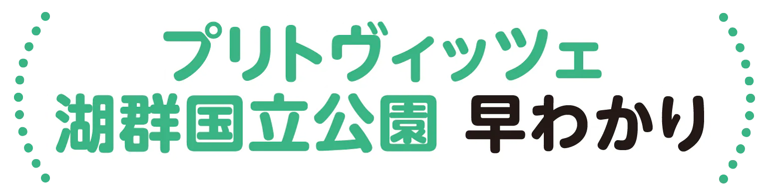 プリトヴィッツェ湖群国立公園早わかりの見出し