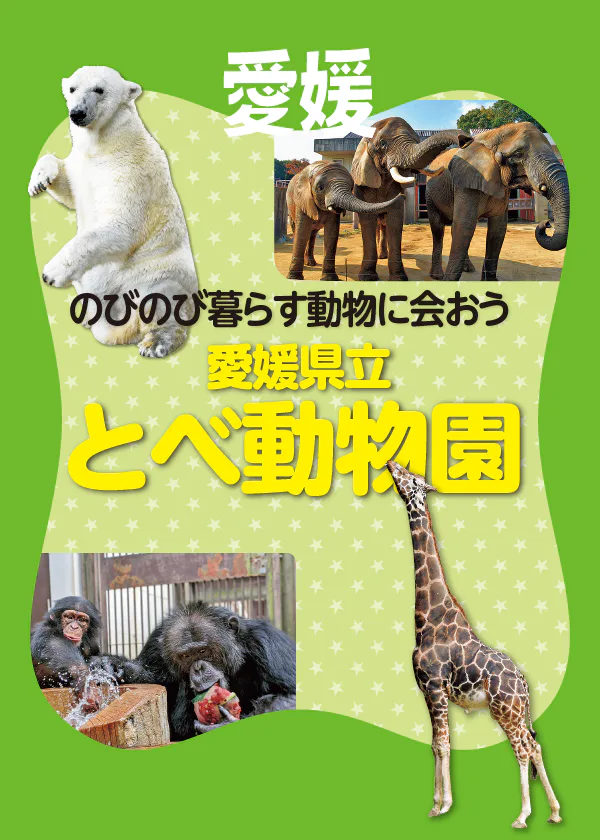 愛媛県立とべ動物園のみどころを紹介！ホッキョクグマのピースやアフリカゾウのほか、グッズなども