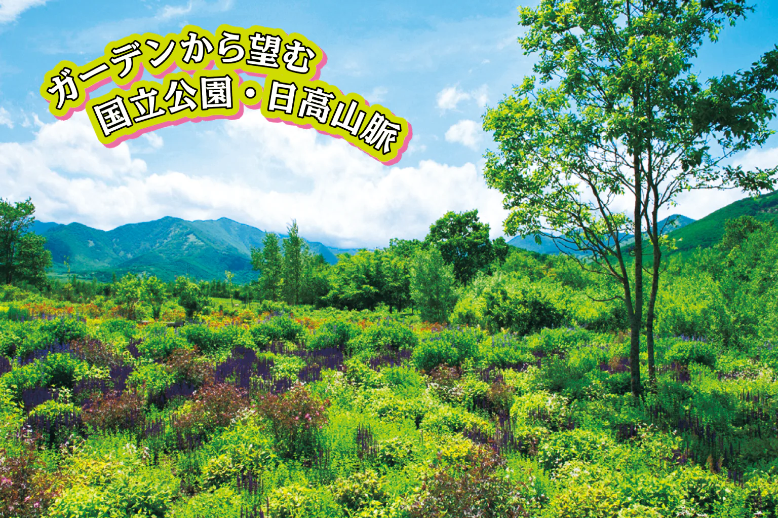 十勝千年の森の「メドウガーデン」の画像