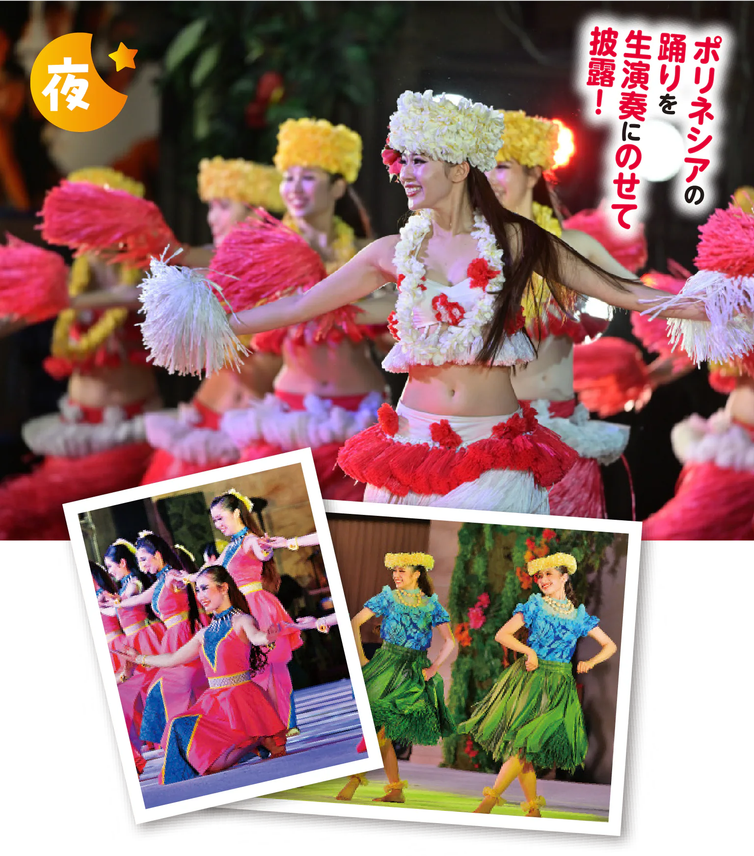 曲調やリズムの異なる多様なダンスの画像