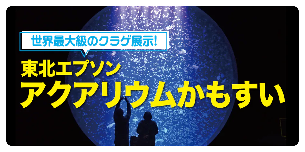 【山形】東北エプソンアクアリウムかもすい(鶴岡市立加茂水族館)│世界最大級のクラゲ展示が魅力!館内イベントやレストラン情報も