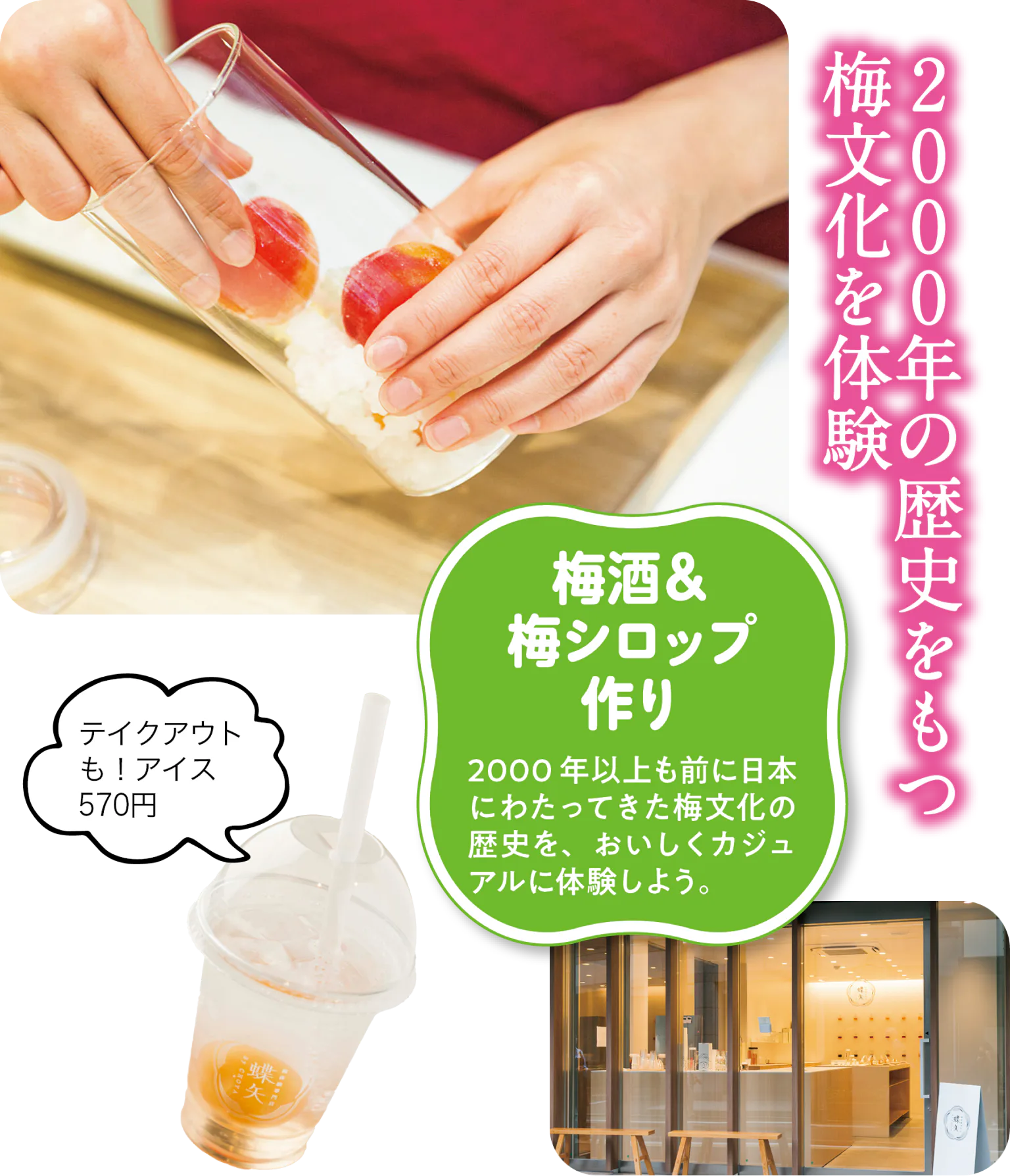 梅体験専門店「蝶矢」の梅酒＆梅シロップ作り体験の画像