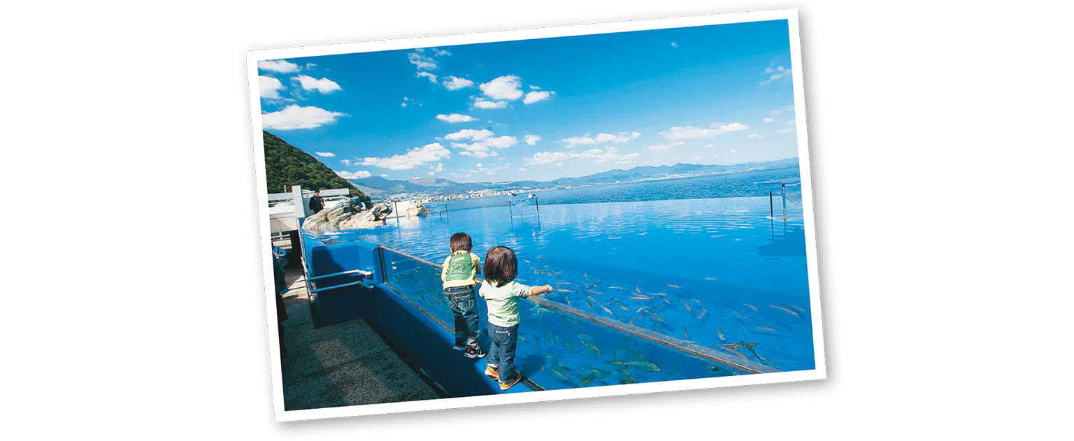 別府湾プールの画像