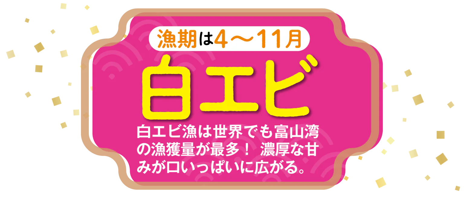白エビ