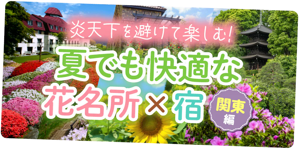 【関東】炎天下を避けて楽しむ花旅|夏でも快適な花名所とおすすめ宿を紹介
