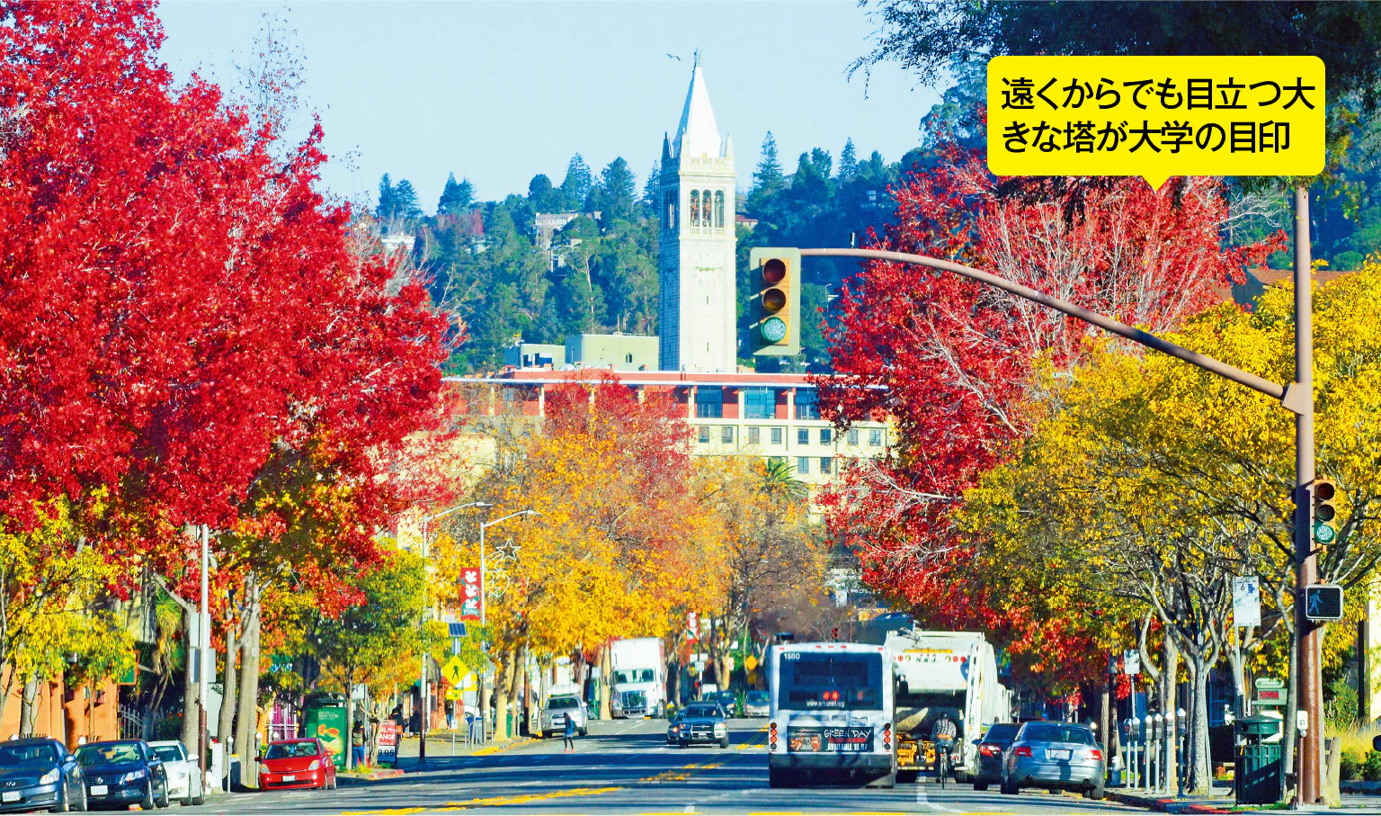 遠くからでも目立つ大きな塔が大学の目印