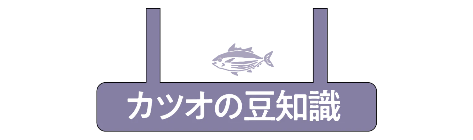 カツオの豆知識