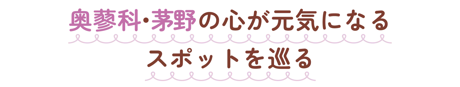 奥蓼科・茅野の心が元気になる スポットを巡る