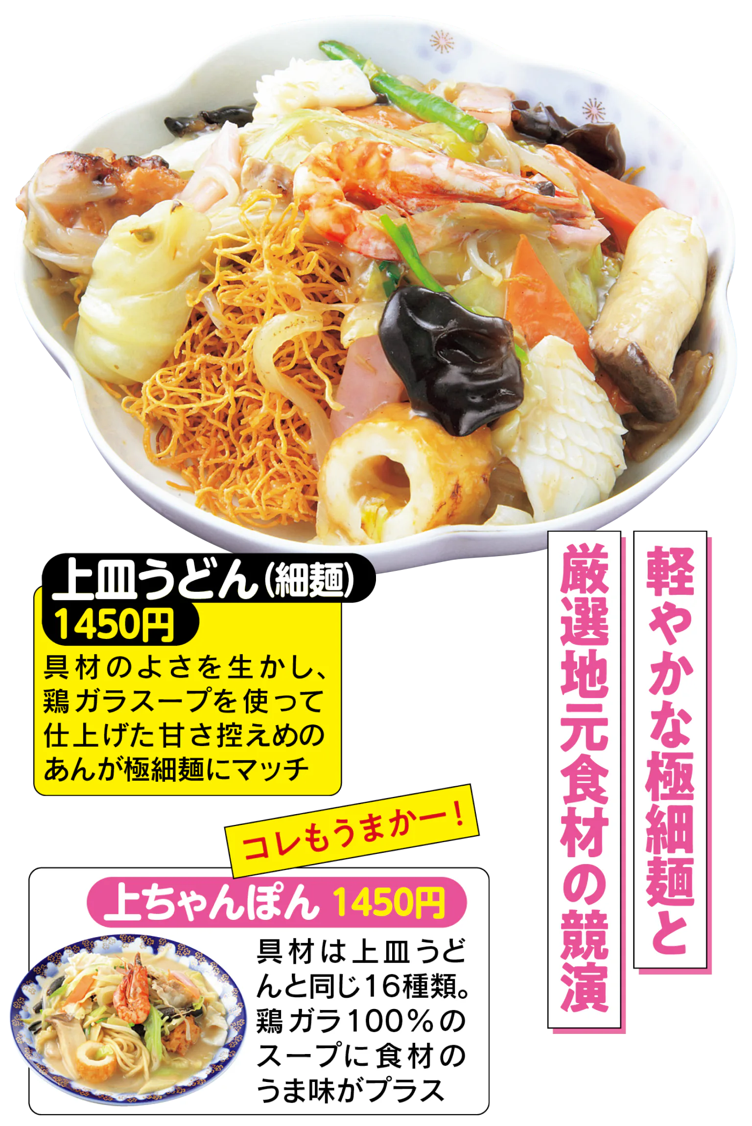 上皿うどん（細麺）　上ちゃんぽん