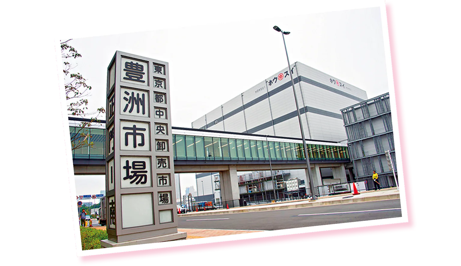 東京都中央卸売市場 豊洲市場の外観画像