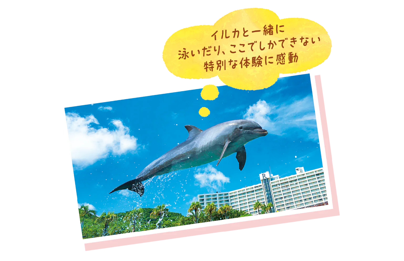 西海岸のリゾートホテルにチェックイン＆アクティビティの画像