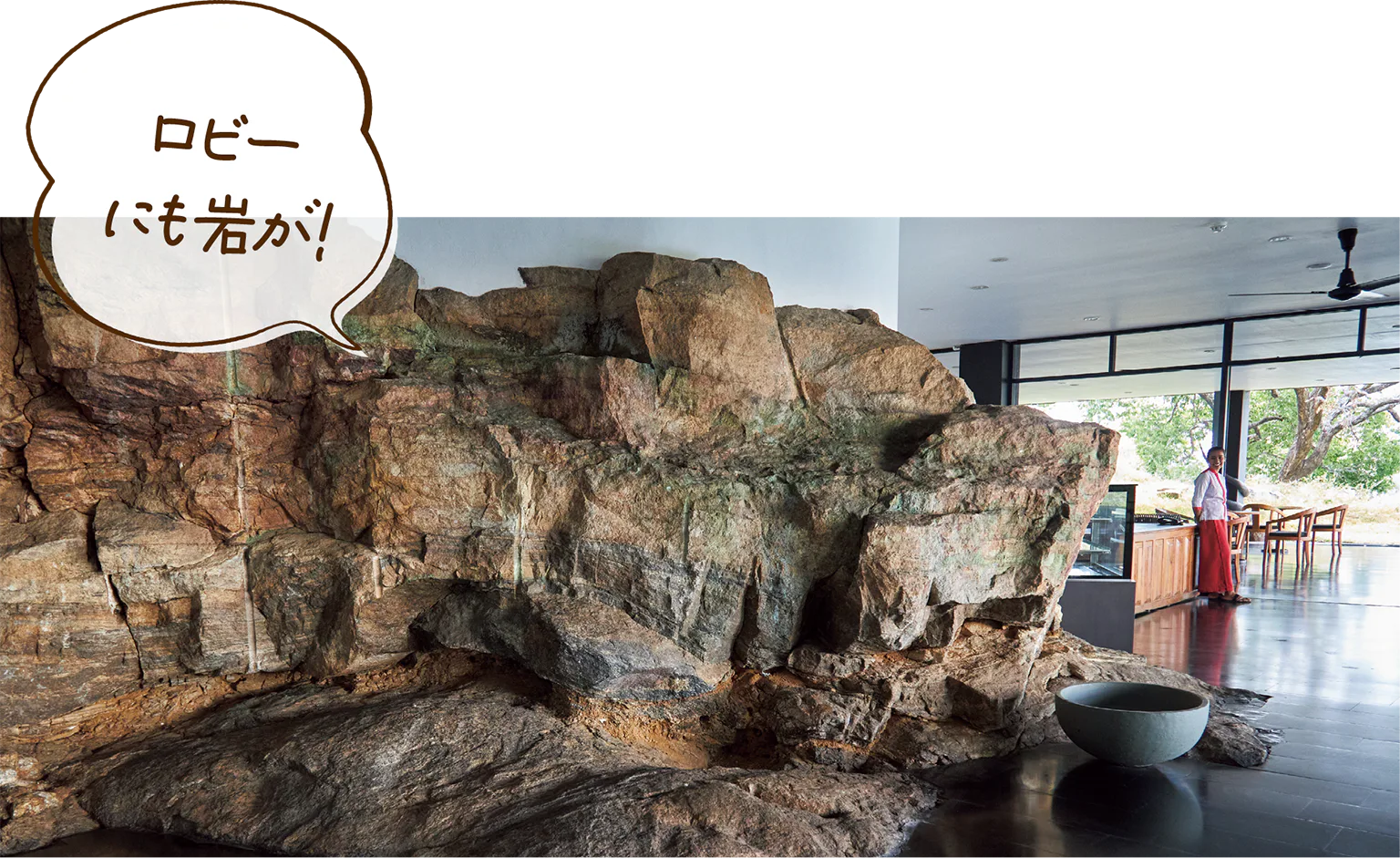 エントランスの画像／ロビー にも岩が!の見出し