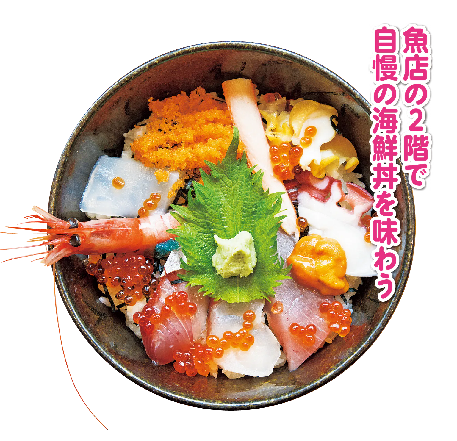 おけしょう 鮮魚の海中苑の海鮮丼舟の画像