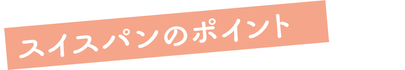 スイスパンのポイントの見出し