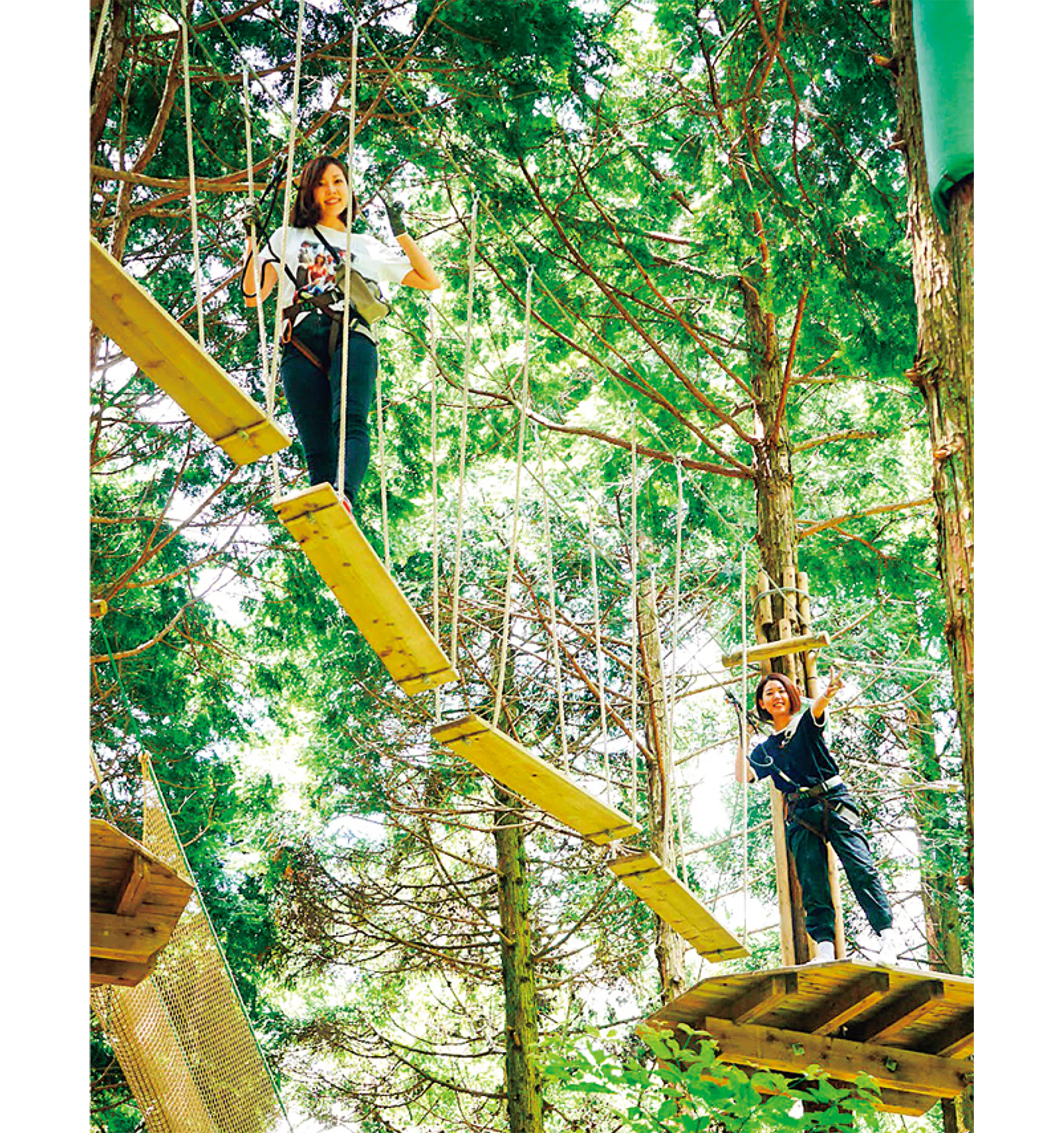 フォレストアドベンチャー・別府／不安定な足場の画像