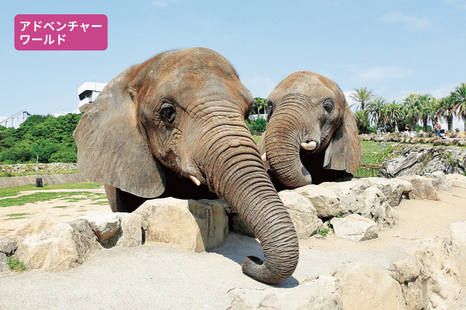 和歌山観光】5つのエリア別の見どころ紹介｜季節のイベントもご紹介