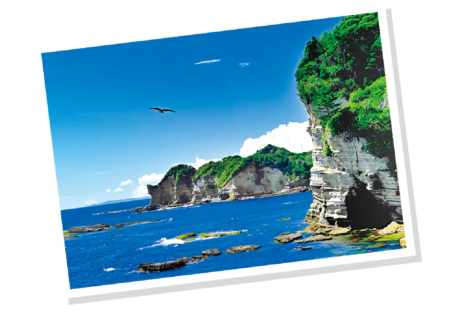 かつうら海中公園 展望塔の画像