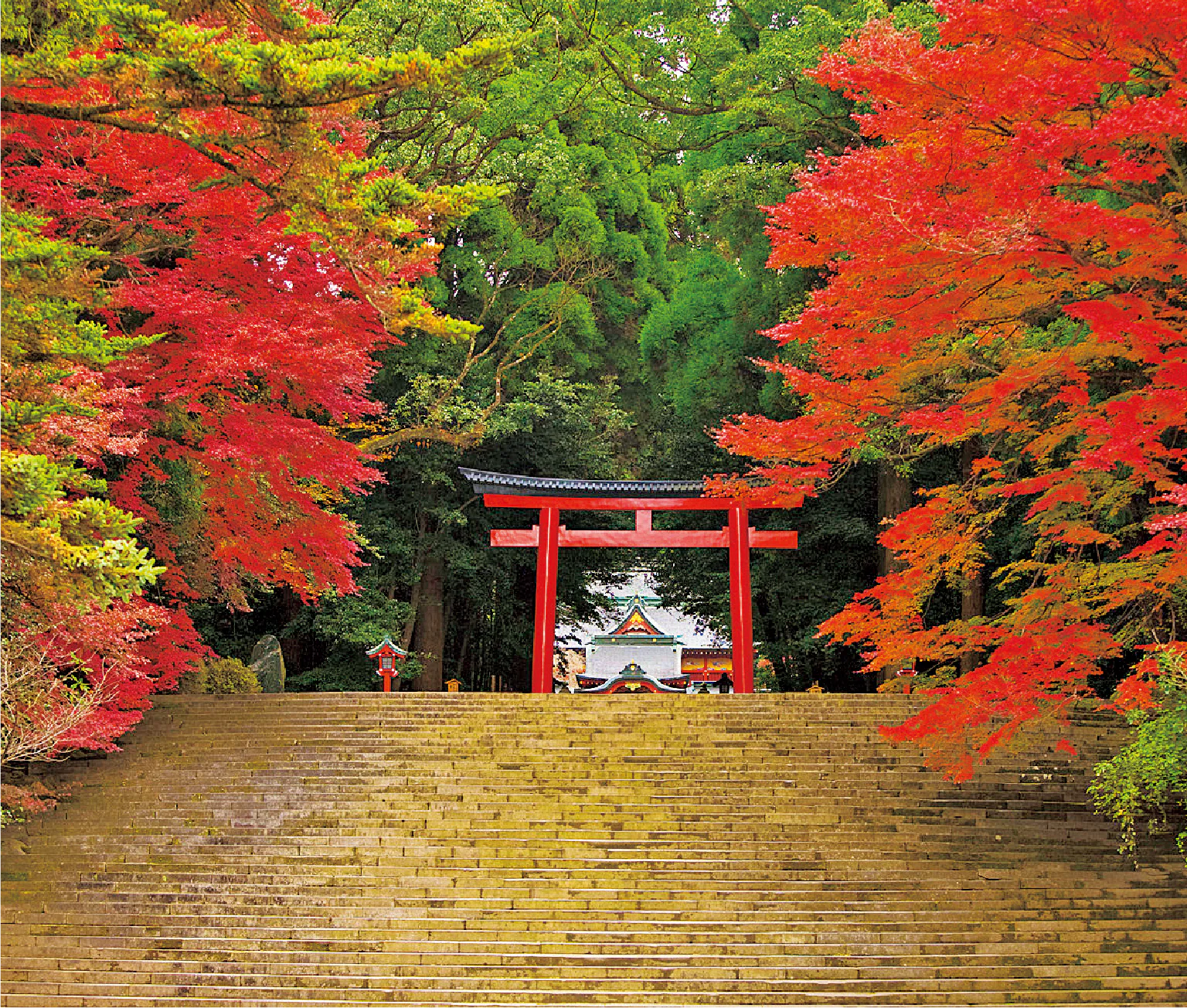 秋は紅葉が見事な三の鳥居付近の紹介画像