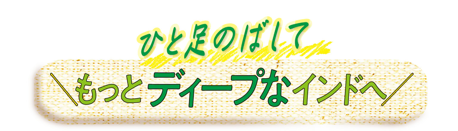 ひと足のばしてもっとディープなインドへ