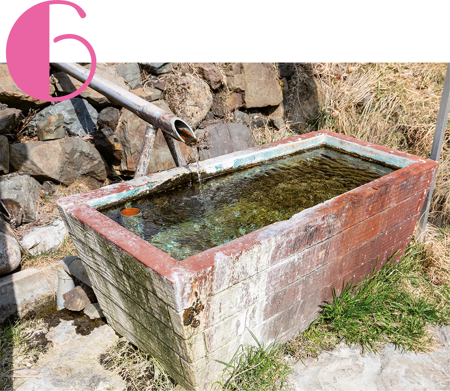 霊泉 ヨシヤーの湯の画像