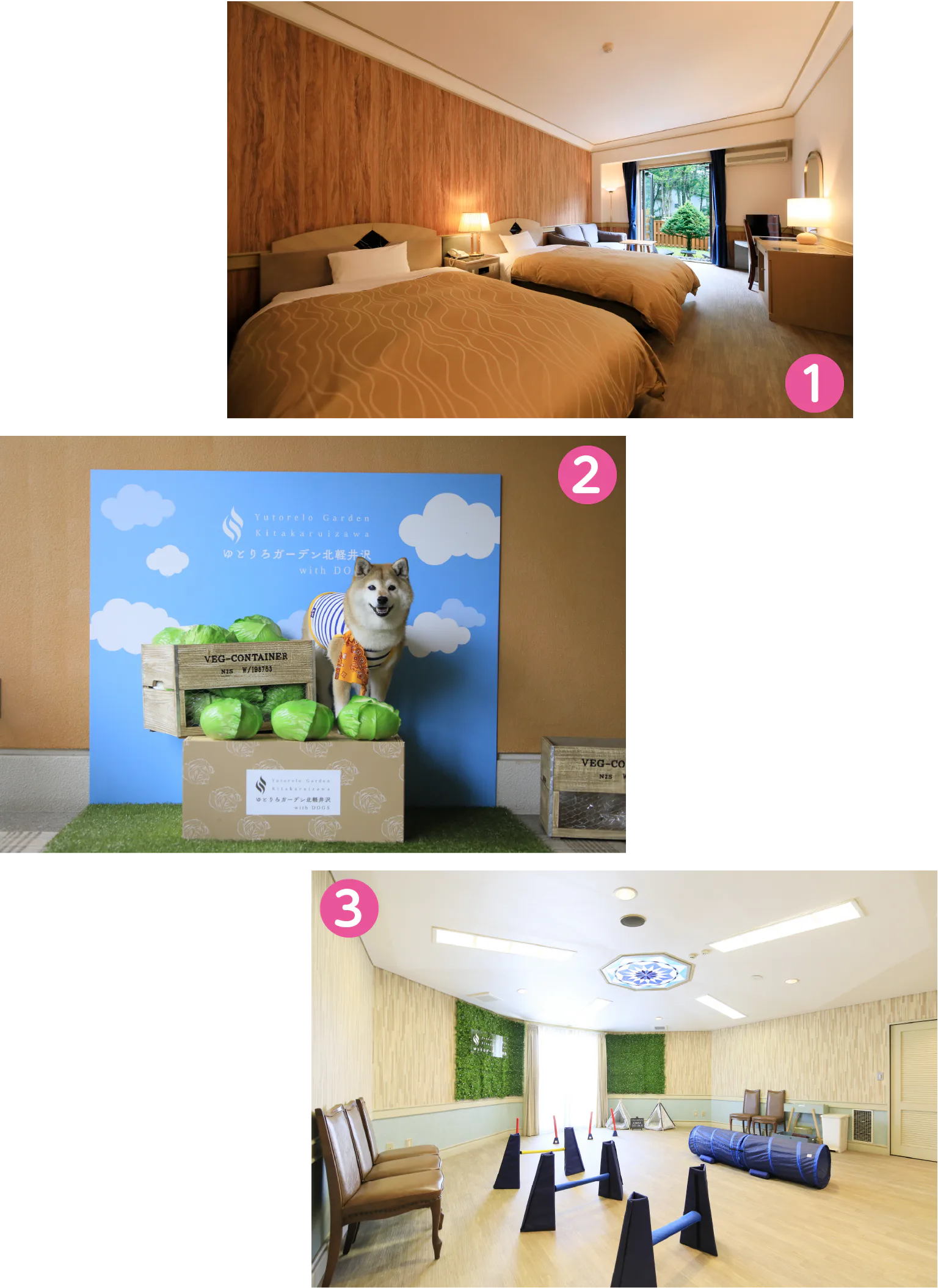 ゆとりろガーデン北軽井沢with DOGS