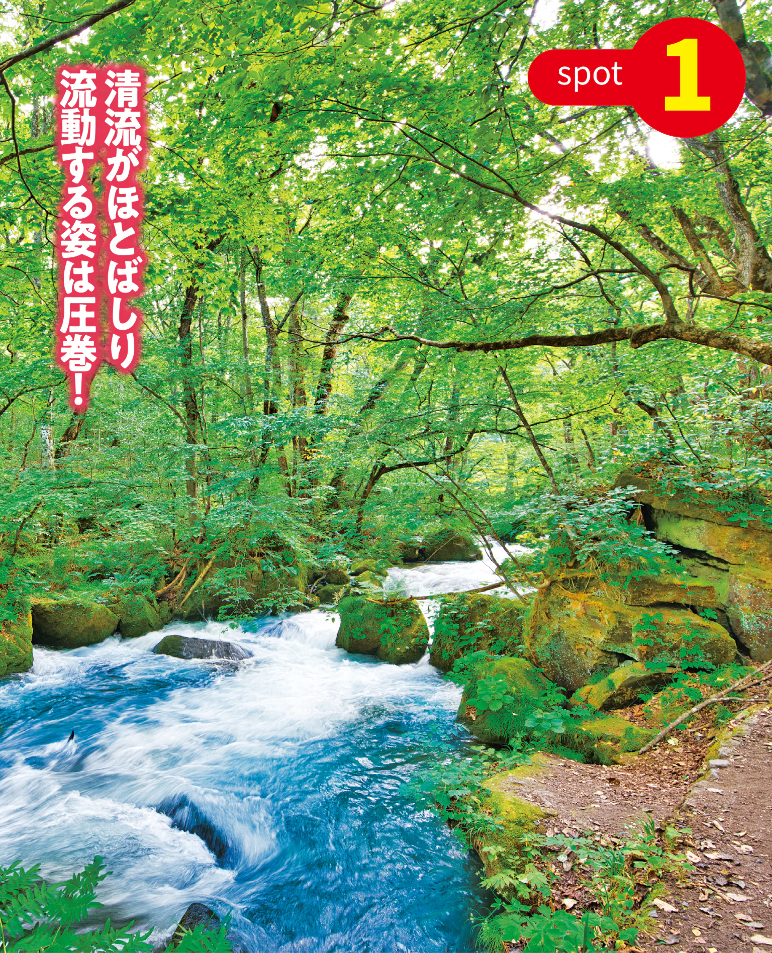 阿修羅の流れの画像