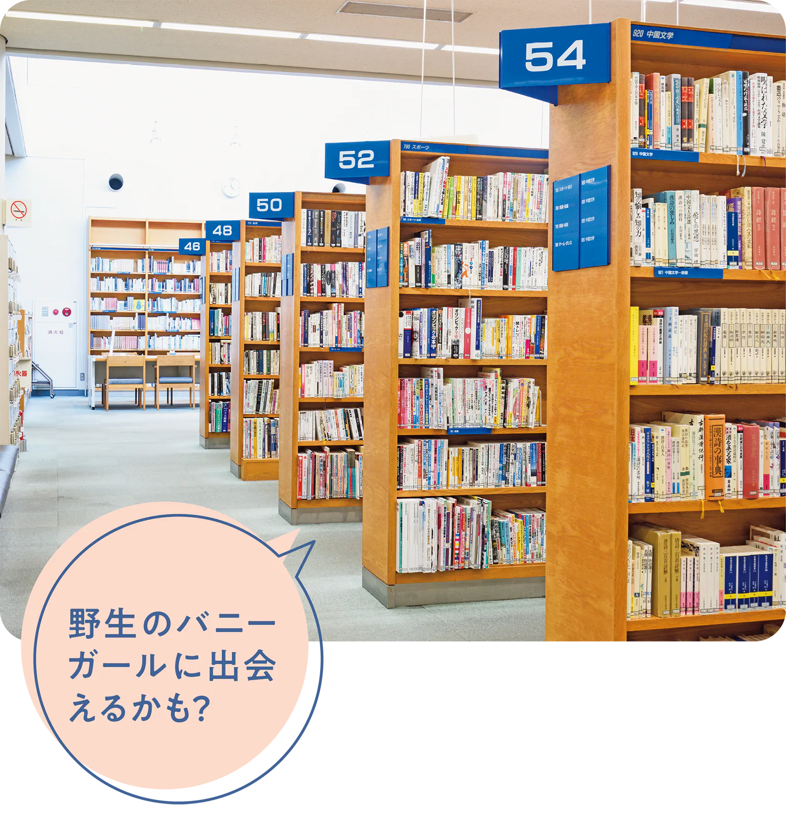 藤沢市総合市民図書館の内観の画像