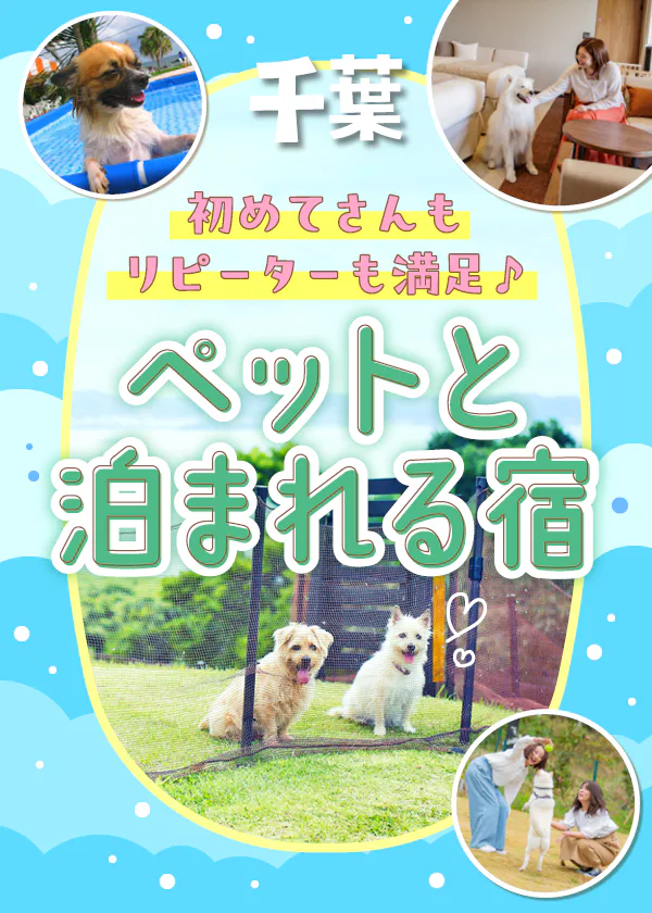 【千葉】ペットと泊まれる宿|宿選びのコツ、アメニティ&設備、マナー・ルールまでまとめてガイド