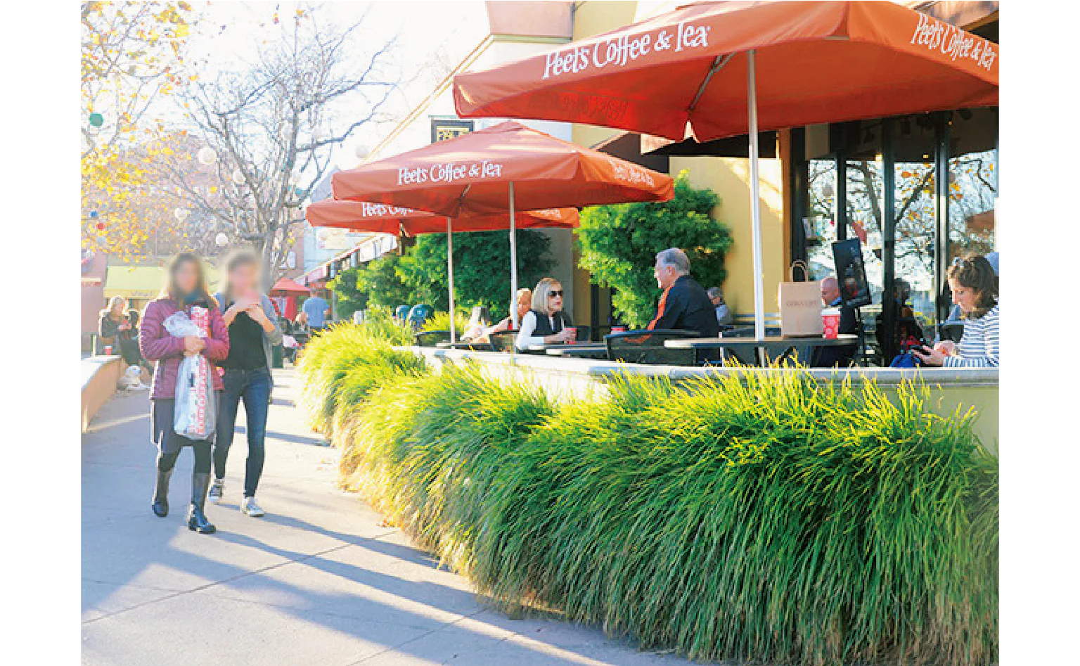 緑が多いキャンパスの芝生は学生の憩いの場。キャンパスは1200エーカーを超える広さ