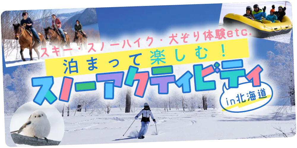 【北海道】泊まって楽しむスノーアクティビティ│スキー、スノーウォーク、犬ぞり、乗馬、テントサウナ、シマエナガ観察など